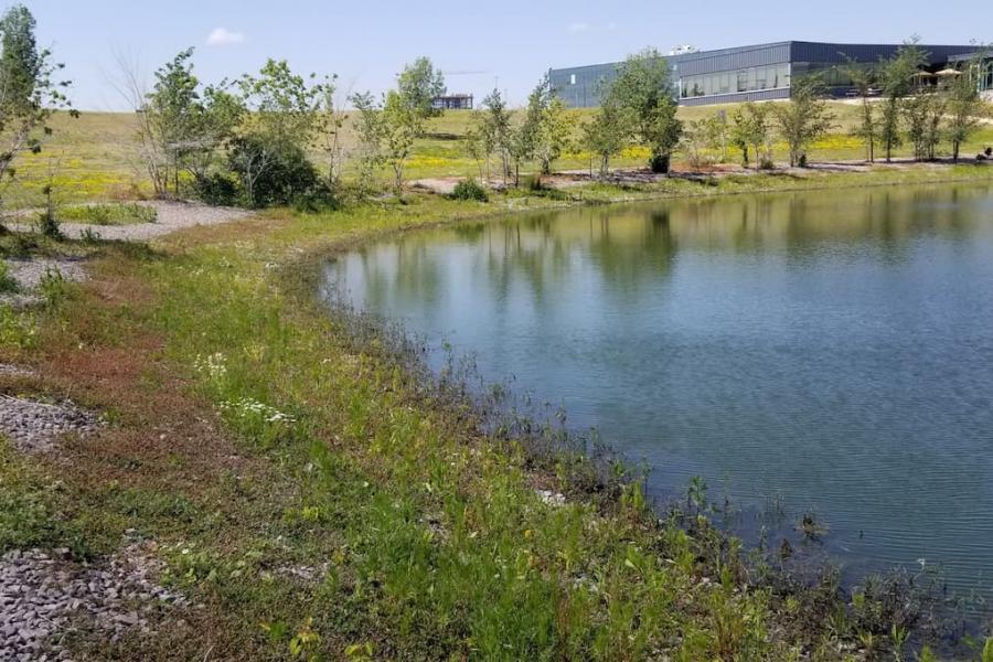 View of the east pond in Smarkpark with a building in the background