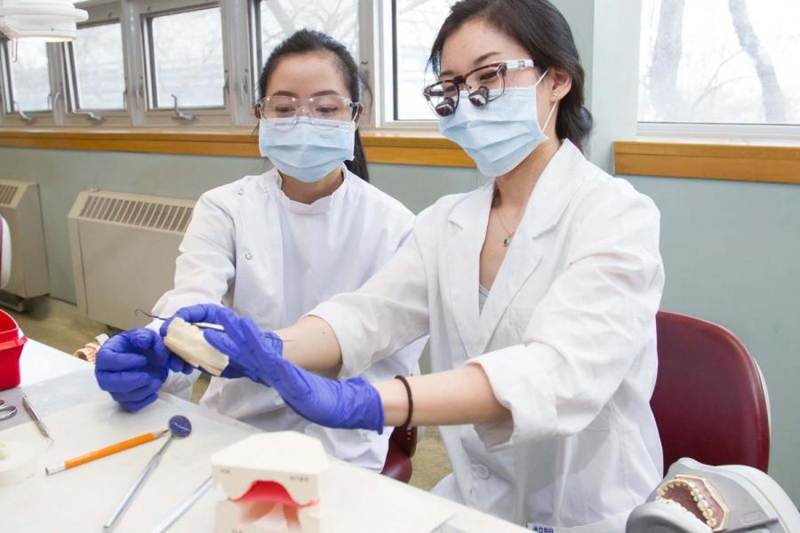 Two dental students working on a mold.